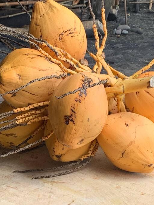 Wabi Sabi , Casa De Playa Βίλα Tamanique Εξωτερικό φωτογραφία